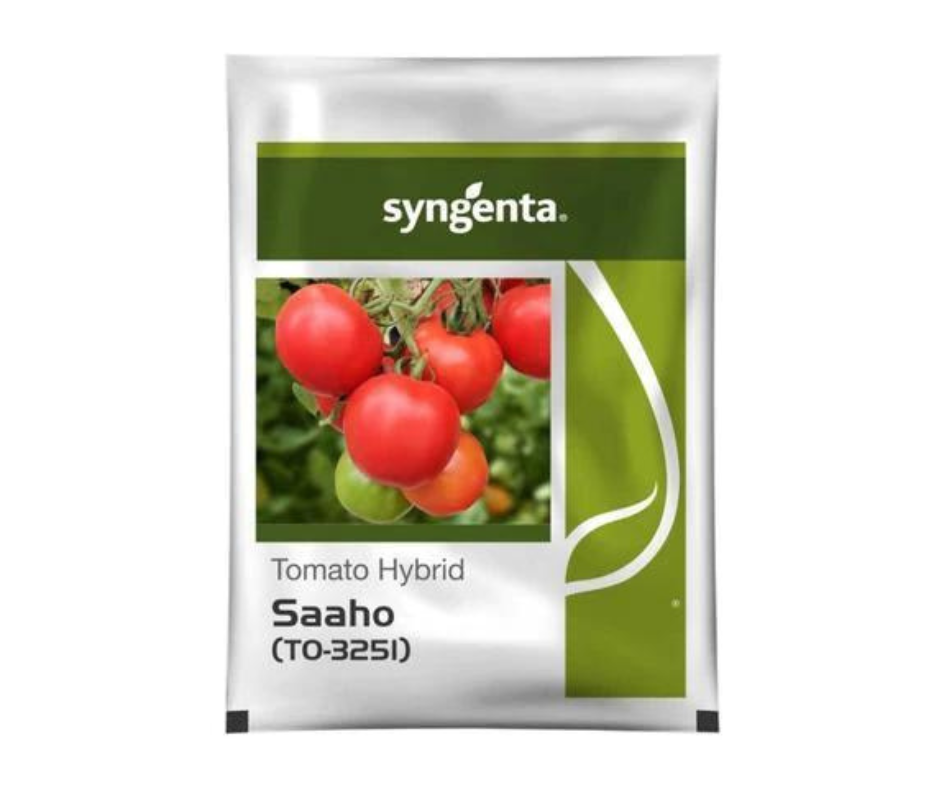 Syngenta Saaho Tomato Farmagro