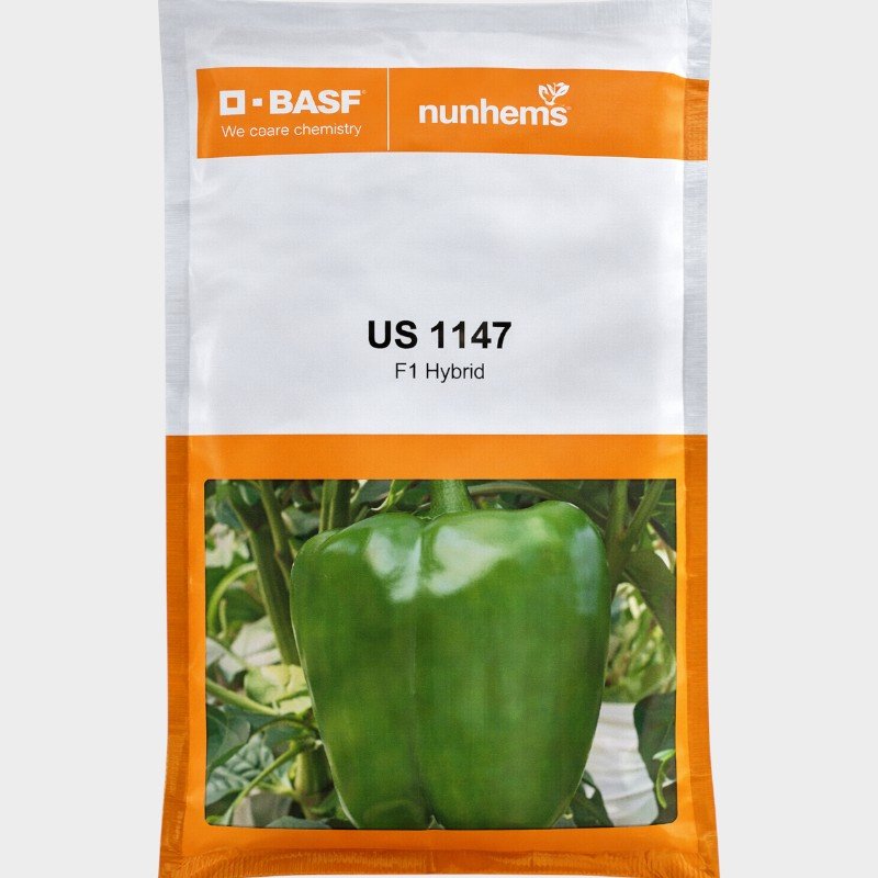 Nunhems U S 1147 Capsicum