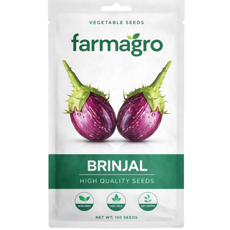 Brinjal Round With Spine