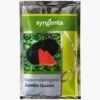 Syngenta Jumbo Queen Watermelon