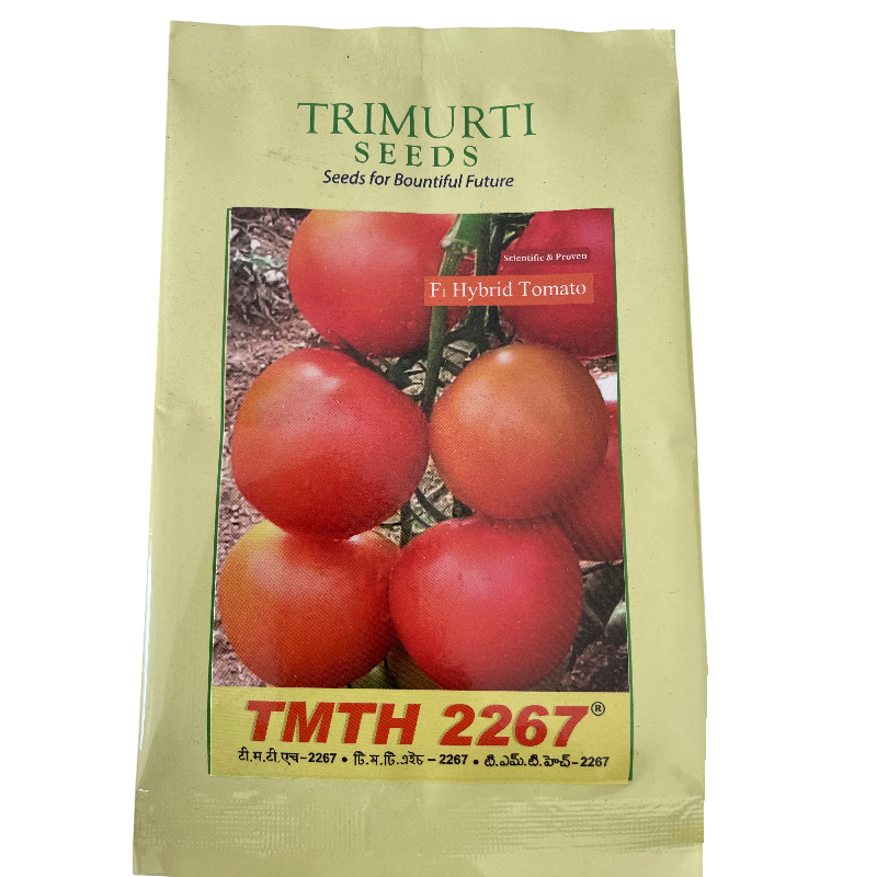 Trimurty TMTH 2267
