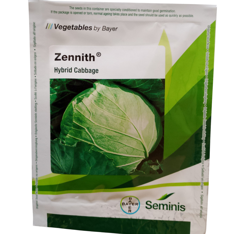 Seminis Zennith Cabbage
