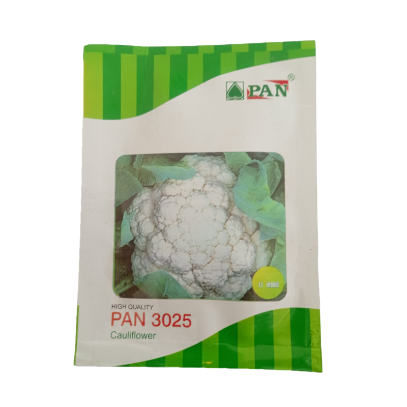 PAN 3025 HY Cauliflower