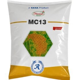 M.C-13