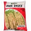 PAN 2423 Hybrid Paddy