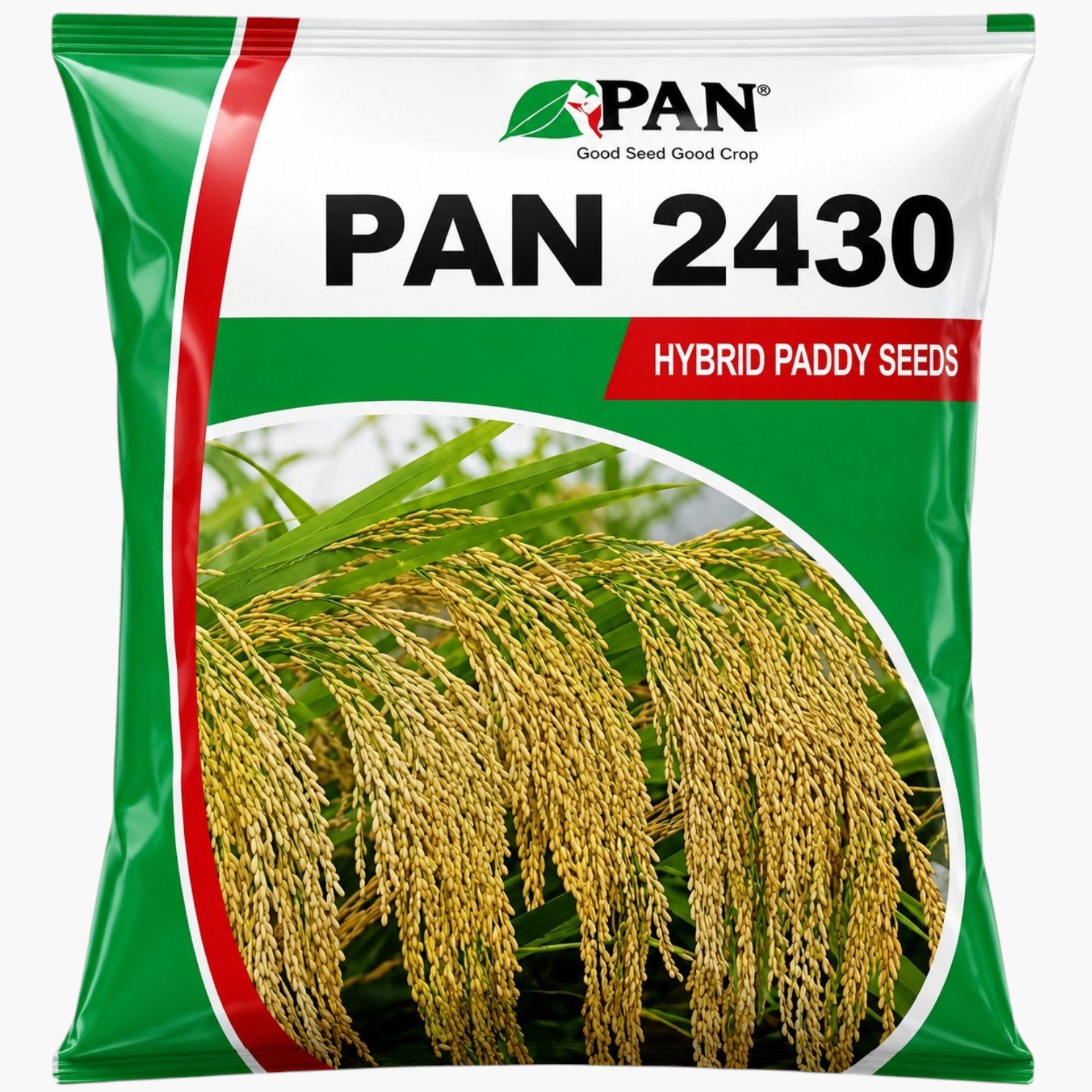 PAN 2430 Hybrid Paddy Seeds