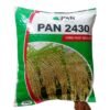 PAN 2430 Hybrid Paddy Seeds