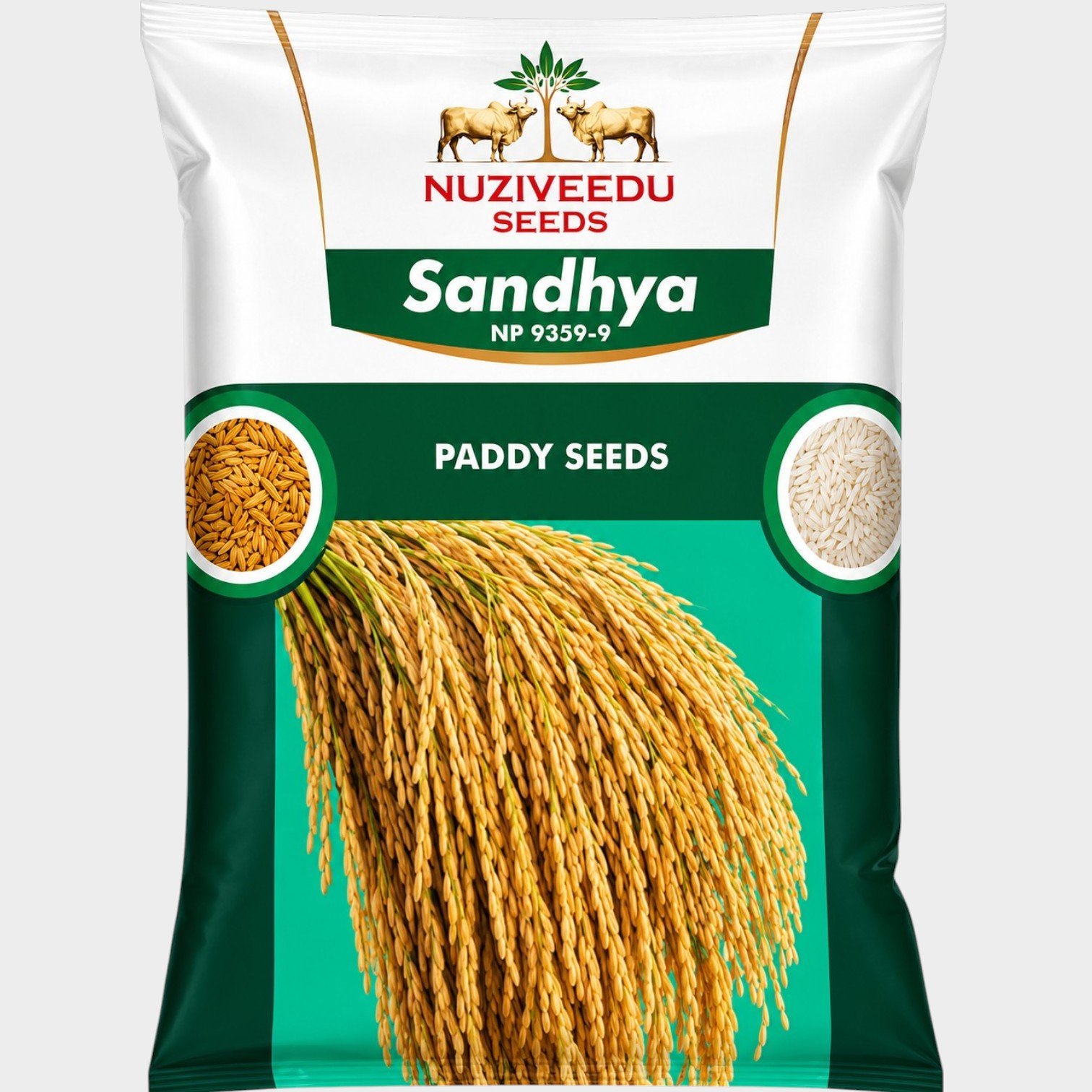 Nuziveedu Sandhya Paddy