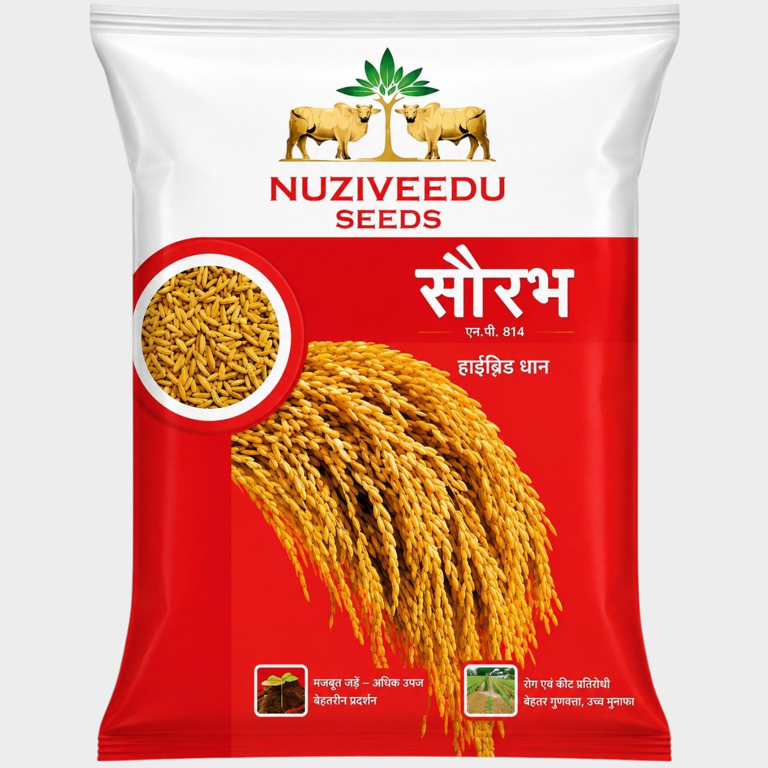 Nuziveedu Saurav Paddy Research