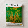 VNR 2377 Hybrid Paddy