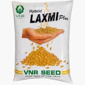 vnr-laxmi-plus