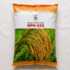 Nirmal NPH 242 Hybrid Paddy