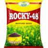 Kaveri Rocky 48 Mustard Seeds